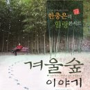 아트숲힐링