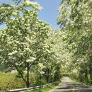 밀양댐생태공원 이미지