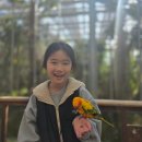 경주 황리단길 경주 밀면집[황남밀면]