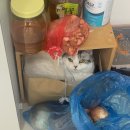 부남버스터미널 | 다시 돌아오지 않을 여름