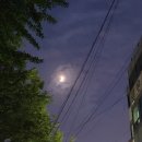 다운목살구이식당 이미지