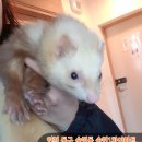 송현1차아파트 이미지