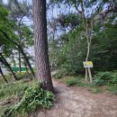 배산공원 주차장 이미지