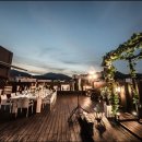 더그레이스켈리 이미지