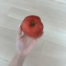 가을부터 겨울･*:.｡. .｡.:*･
