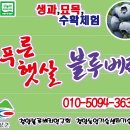 상근농장 네이버블로그