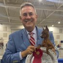 (주)애니독 이미지