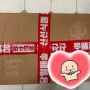 신비농장 | [내돈내산] 어봉지길농장 신비복숭아 복숭아덕후의 솔직 후기