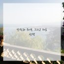 포인플래닝