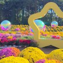 인천 드림파크 꽃축제 이미지