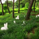 지리산정원 Daum카페