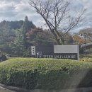 제주도 겨울골프 후기 제주 에버리스cc