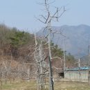 경록농장 이미지