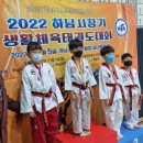 드림코리아 태권도 이미지