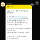 강진-5 이미지