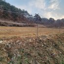 똘배농장 이미지