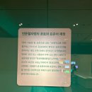 서울 용산 무료 전시 국립한글박물관 개관 10주년 기념 기획 특별전 &lt;사투리는 못 참지&gt; 관람 후기