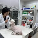 현 동물병원 이미지