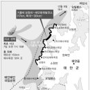 넝쿨다방 이미지