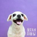 뭉치네 미용실 이미지