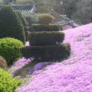 고향의 기와집 이미지