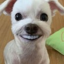 자중해
