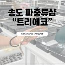 (주)만나푸드서비스 | 인천파충류샵 트리에코에서 크레스티드게코 애완도마뱀 분양 후기!