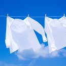 새하얀세탁소 이미지