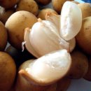 봉봉(bon bon) 이미지