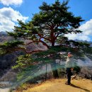 지리산 천년송(千年松) 할매소나무 와 할아버지소나무 이미지