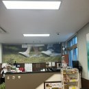 &lt;내돈 내산&gt; 담양 가볼만한 맛집 오리 전골 유진정