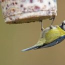 송강테마파크 이미지