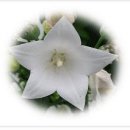 고산슈퍼 이미지