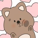 술낭구수성