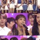 '쇼챔피언' 에이핑크, '1도 없어'로 1위…음악방송 2관왕 '눈물' [+무대영상] 이미지