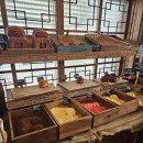 cafe(카페)도토리