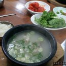 서울깍두기 이미지