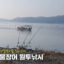 장어와미꾸라지 이미지