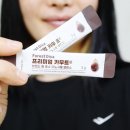 포레스트디바