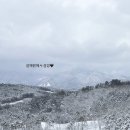 설해수영장 | 강원도여행ㅣ 2박 3일 설해원 설해온천 투숙 후기 (수영장 / 사우나 / 골프 레전드코스 라운딩 이용후기)