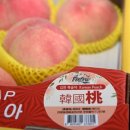 농협남면지점 이미지