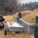 안동김씨 헌공파 선대묘(연)(사원)(헌) 사초 이미지