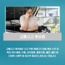 구로교통사고한의원, 어혈 풀어주는 치료는 어떤 것일까