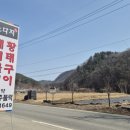 노다지가든 이미지