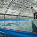 부산수산 이미지