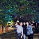 담양대나무축제 이미지