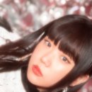 케이티 티브이데일리