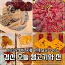 미니스톱 경산부적점 | 경산 신대부적 생고기 맛집 오늘 생고기와 전, 재방문한 영남대 술집 후기