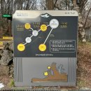 백록담 | 2025년 마지막 날 한라산 백록담 등반 후기 | 성판악 코스 주차 시간 제한 총정리