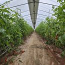 태연농장 이미지